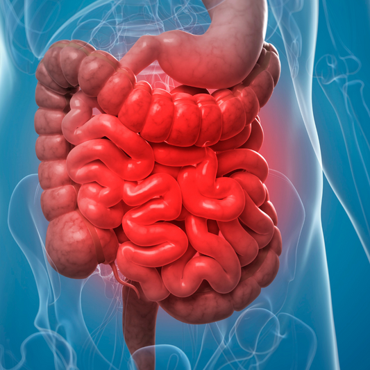 Constipation Terminer en 3 ou 7 jours avec : Le Thé Défécation Qui Vous Libère en Douceur