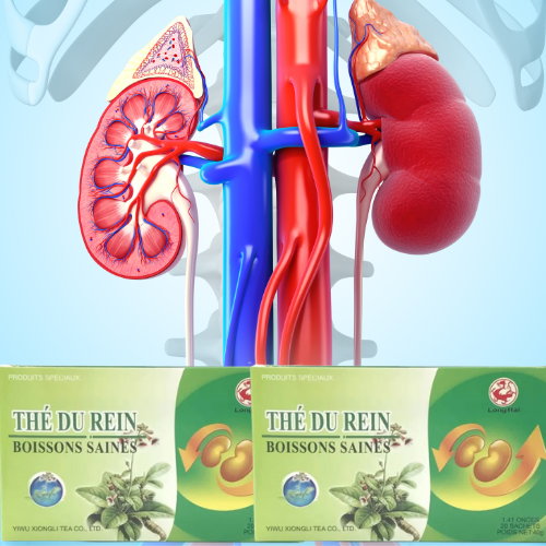 Améliorer le fonctionnement de vos reins  en 3 ou 7 jours avec une tasse de Thé naturel  à base de plante 🌿☘️